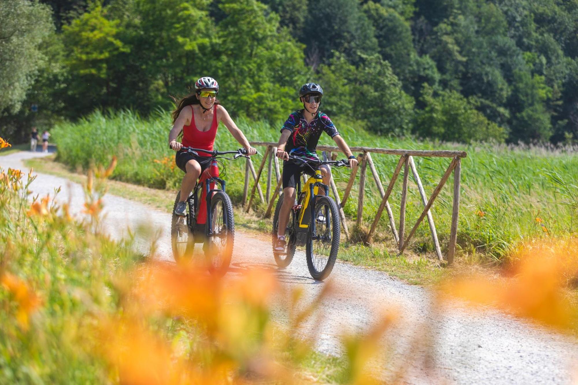 I Laghee Casette Breva E Tivano -Garden-Parking-Lake View - Bike Friendly Holiday House Colico Exterior photo